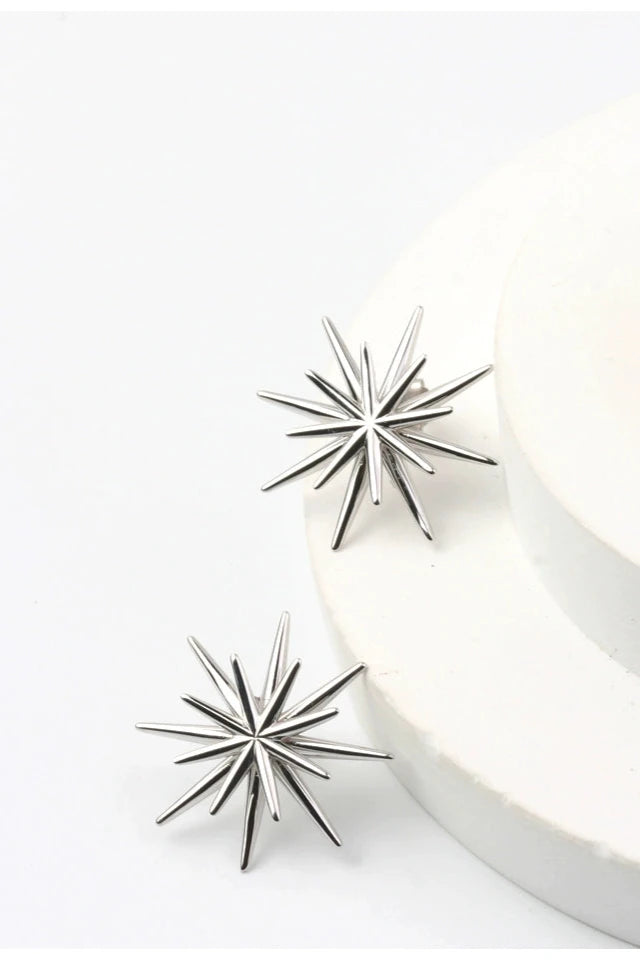 Geometry Star Earrings B3191