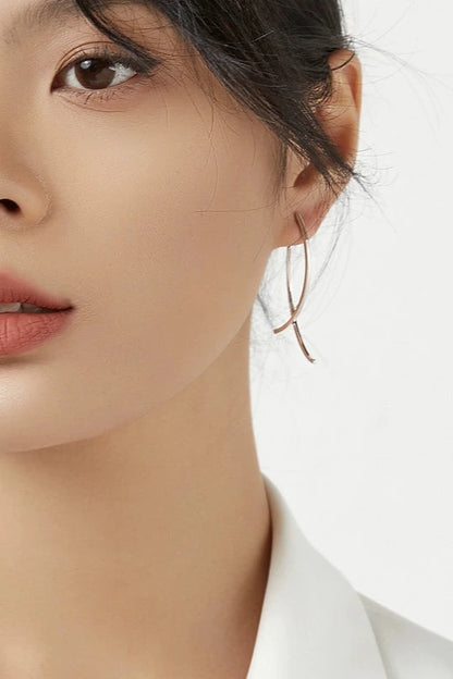 S925 Long Geometric Line Tassel Earrings B3195