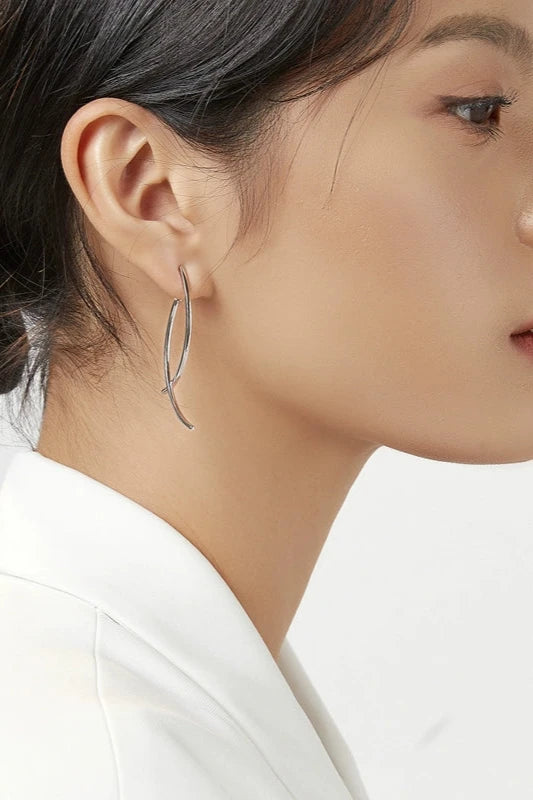 S925 Long Geometric Line Tassel Earrings B3195