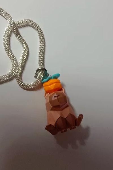 Capybara girly polygon necklace B2259